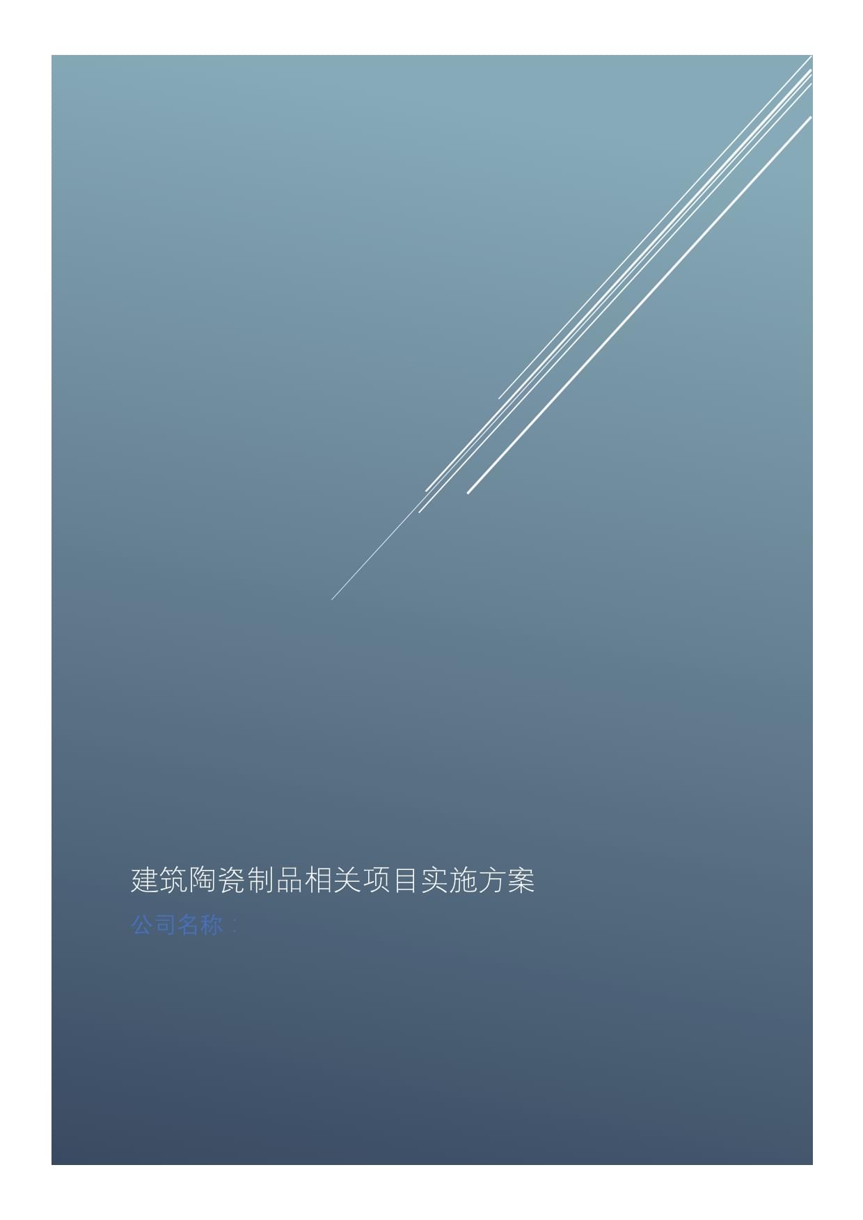 建筑陶瓷制品产品项目实施方案